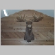 Magic Moose Power Activate!!!